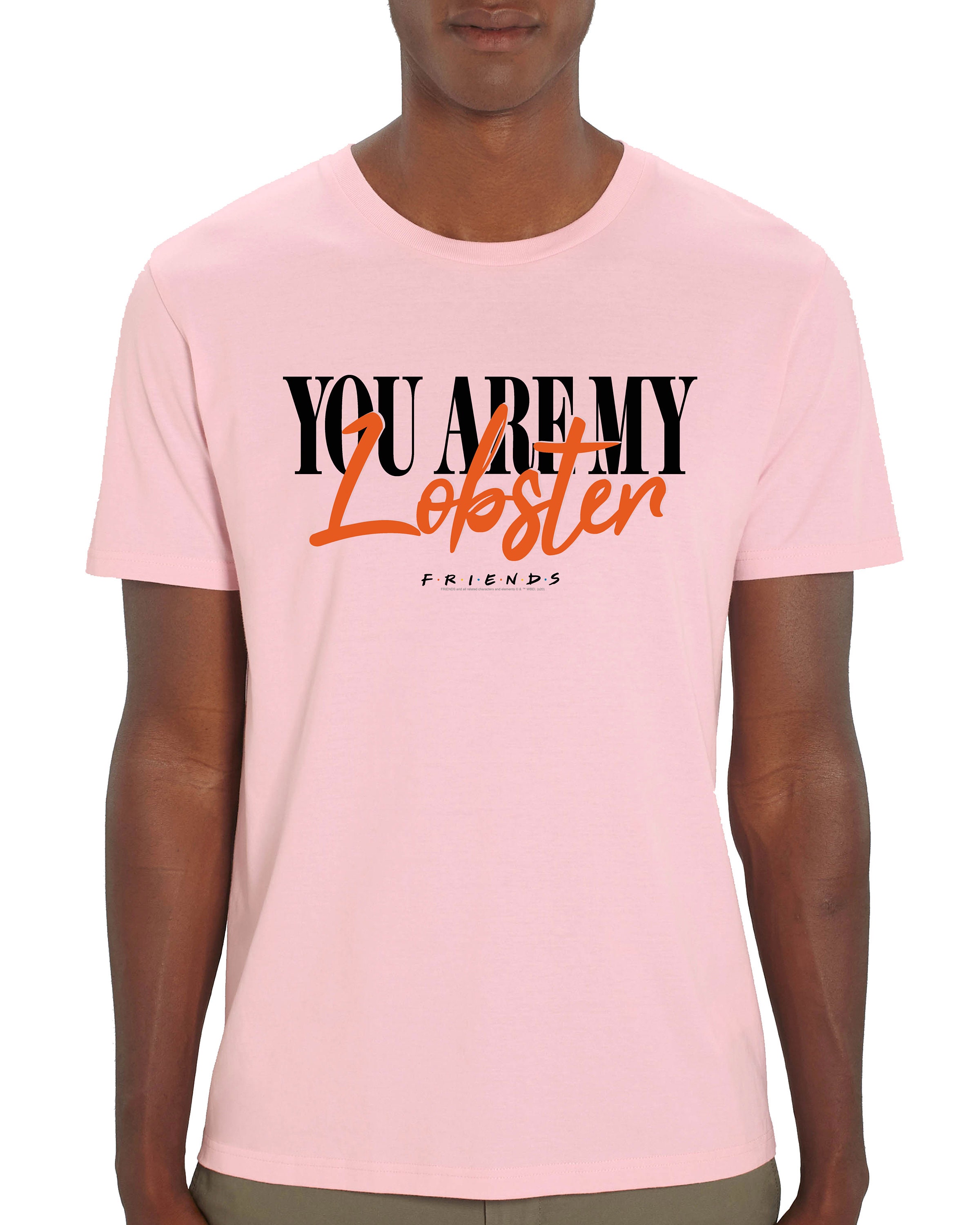 Image of Friends You Are My Lobster Men's T-Shirt