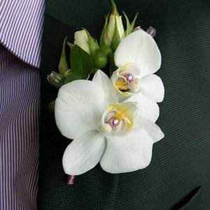 Orchid Boutonniere, Wedding Accessories, Orchid Flowers, Groom Boutonniere