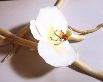 Handgemachte Brosche mit Orchidee. Handgemachte Damen Accessoires. Fashion Flower Floral Brosche. Kaltes Porzellan.