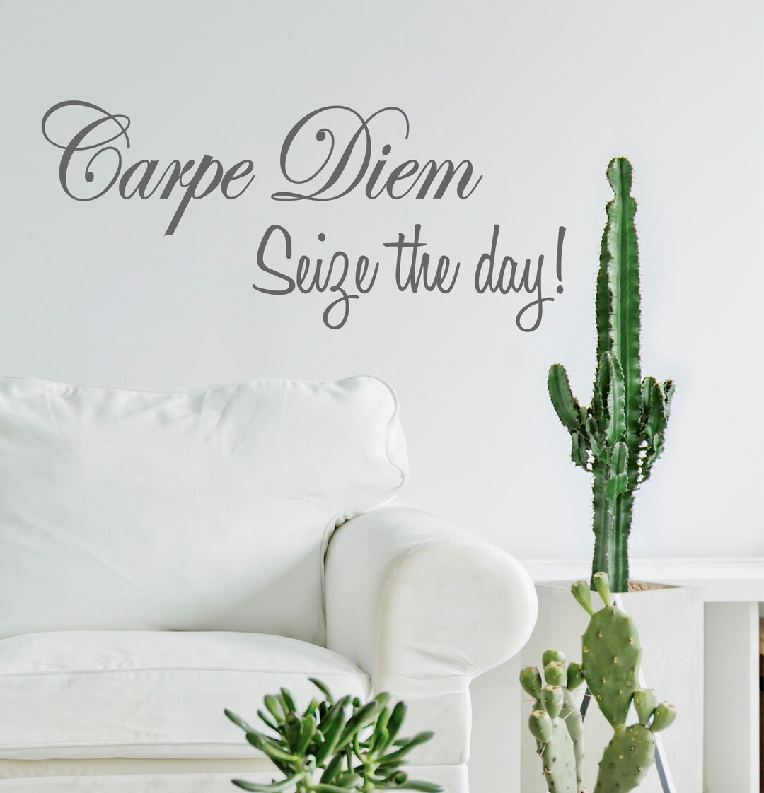 Carpe Diem Seize the Day Wall Sticker Decal Quote Vinyl Etsy Australia