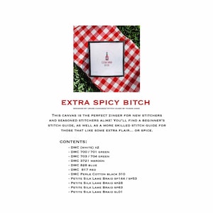 EXTRA SPICY BITCH - Thread and Stitch Guide by Faison Anne
