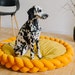 see more listings in the Dog bed section