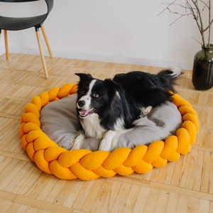 Modern pet bed Bed for large dogs Dog bed furniture