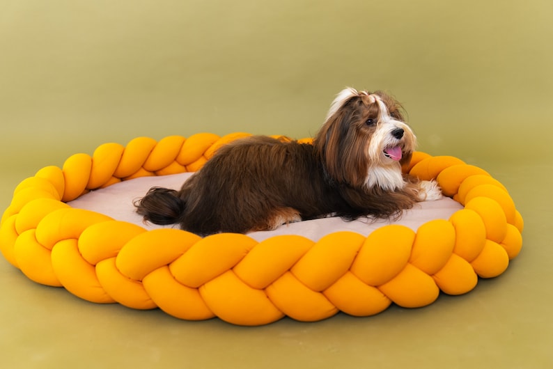 Colorful pet bed Bed for large dogs Dog bed furniture image 4