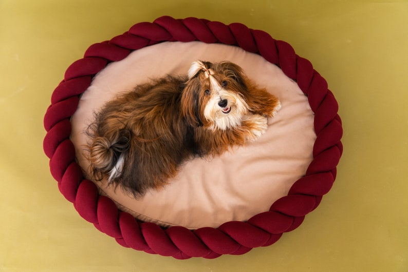 Colorful pet bed Bed for large dogs Dog bed furniture image 3