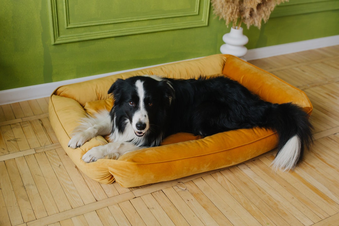 Custom Dog Bed Floor Bed for Dog Pet Furniture Modern Velvet Dog Bed Etsy