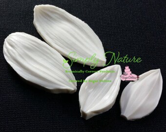 Sunflower Petal Veiner Set By Simply Nature Botanically Correct Products® VEI086