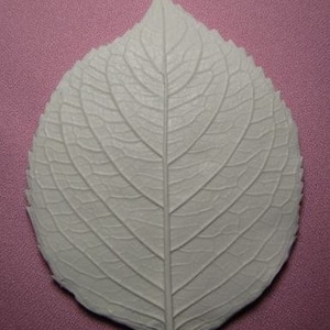 Könnte beinhalten: Eine weiße Silikonform in Form eines Blattes mit detaillierten Adern. Die Form ist für die Herstellung von essbaren Dekorationen für Kuchen und andere Desserts gedacht.