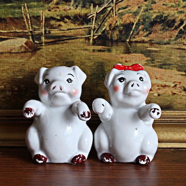 Vintage Portcelain salt and pepper shakers set, Big salt pepper shakers,  Kitchen decor, Piglet porcelain shaker set