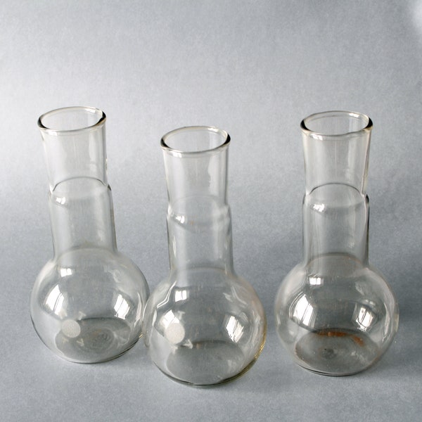 Set von drei klaren Glasbecher Lab Kolben, Glas Messbecher Labor medizinische Tiegel, Mess-Kolben, Labor-Ware, Blumen