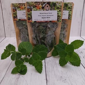 Apple Mint Organic Dried, mint tea, apple mint tea, organic mint tea, homegrown tea, organic herbs, culinary herbs, Packages are .16oz