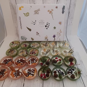 Fire Starters natural handcrafted wax fire starters 4 styles in gift boxes. Styles are Spring, Summer, Fall & Winter. Sets of 4, 12, 24.