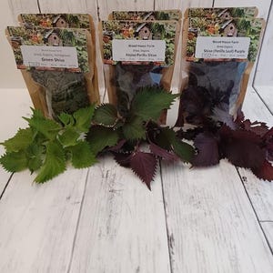 Shiso Perilla Leaf Dried 3 types Organic Homegrown Shiso Hojiso, Shiso Purple & Shiso Green for Japanese and Korean cooking. Pkg sizes .16oz