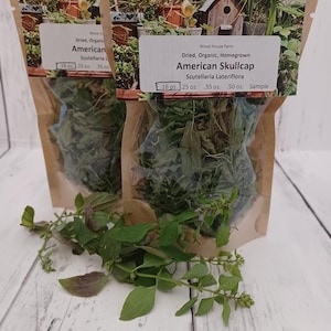 May include: Two bags of dried American Skullcap, Scutellaria Lateriflora, with labels indicating weight options. Fresh green herbs are scattered in front of the bags. The bags are made of clear plastic and brown paper.
