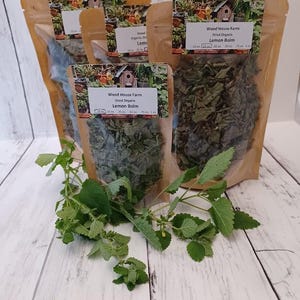 Lemon Balm dried, organic, tea, specialty culinary herb, gourmet herb, medicinal herb, homegrown, loose leaf tea, organic herb,
