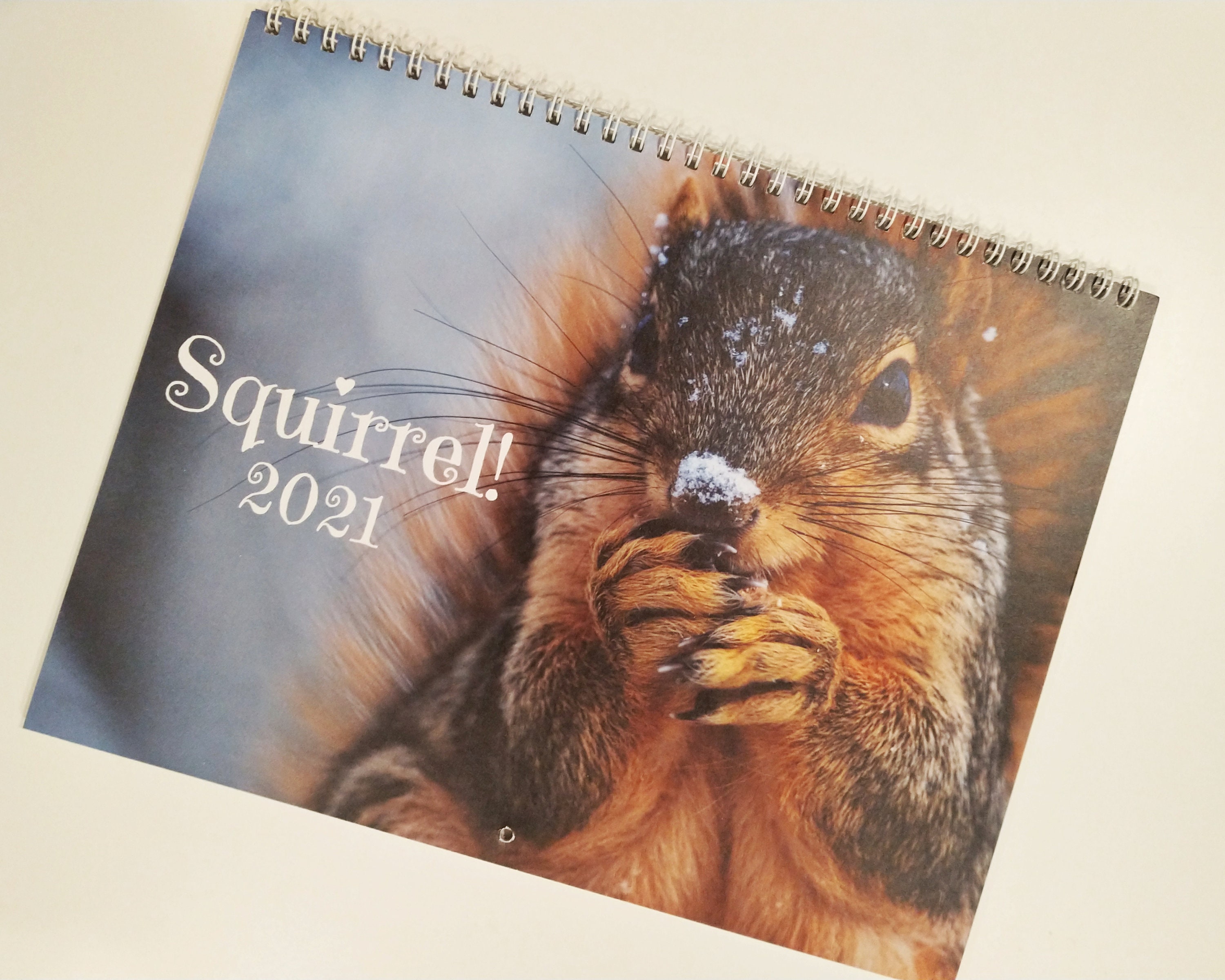 2021 Calendar Squirrel Calendar Wall Calendar Photo Etsy