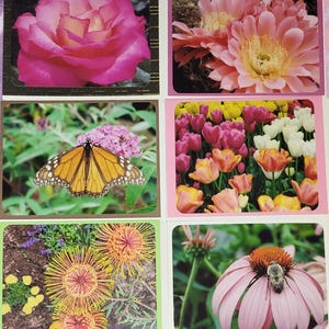 Fotokaarten bloemen, bloemenfotografiekaarten, natuurfotokaartenset, blanco bloemenfotokaarten, handgemaakte bloemenfotografiewenskaart