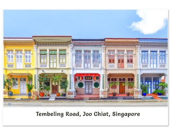 Arte mural de tiendas de Singapur, Tembeling Road Peranakan Shophouses Fotografía de bellas artes Impresión giclée en papel semibrillante de primera calidad