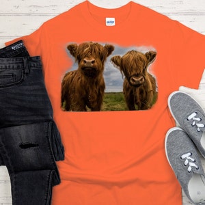 Beautiful Brown Swiss Cows T-shirt - Etsy