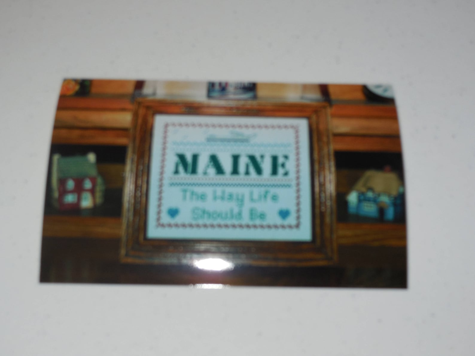 Maine Logo Sampler Cross Stitch Kit Etsy