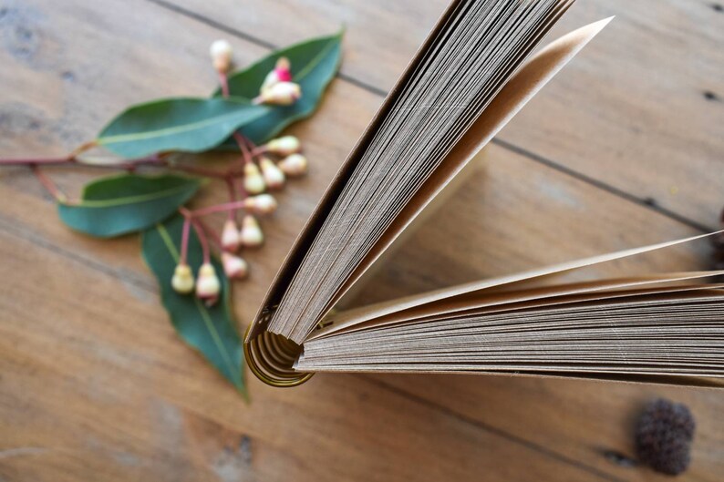 Brushtail Possum A6 Notebook Sustainable Brown Kraft Paper Etsy