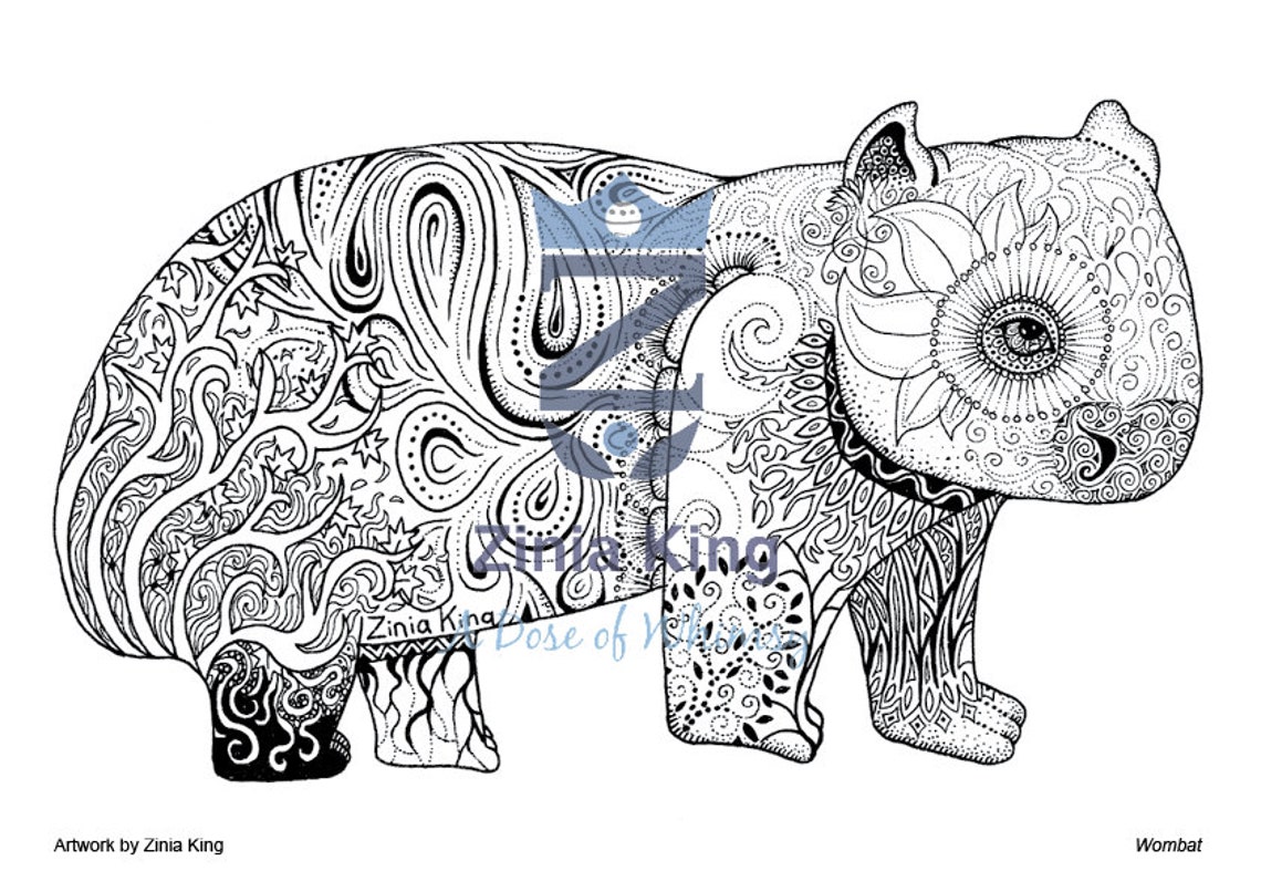 Printable Australian Animal Colouring Pages Instant Download - Etsy