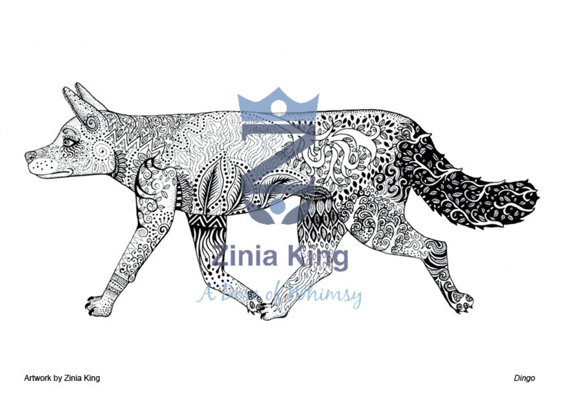 Printable Australian Animal Colouring Pages Instant Download - Etsy