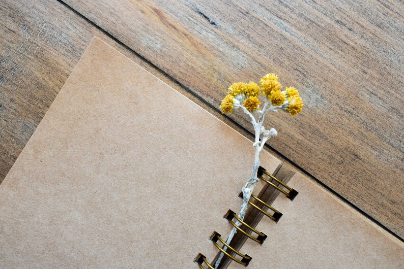 Brushtail Possum A6 Notebook Sustainable Brown Kraft Paper Etsy