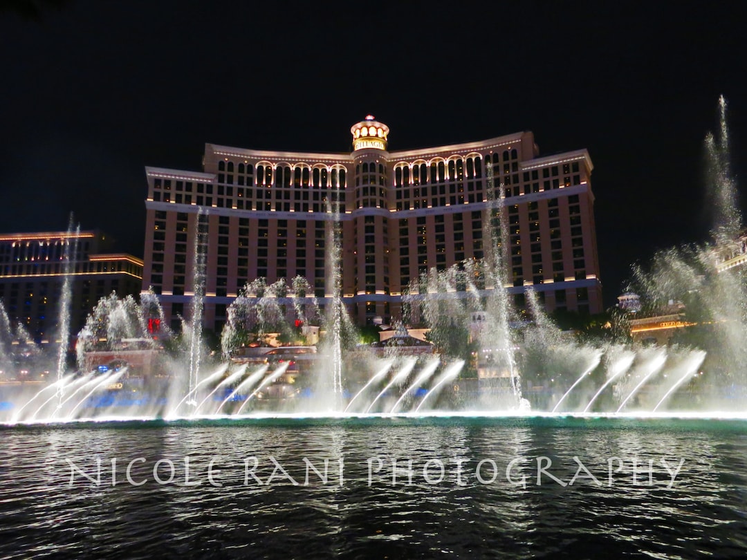 洋楽 FOUNTAINS OF BELLAGIO CD Fountains of Bellagio Vol II