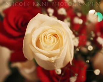 White Rose - Valentine's Day Photography - Surreal