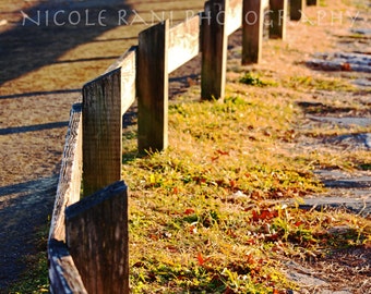 On the Fence - Nature Photography - Stamford, CT