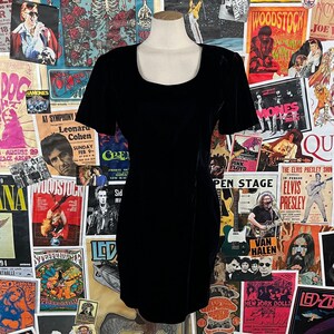 Scarlett nite dresses online shopping hotsell