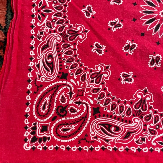 Vintage Red Paisley Print RN 15187 All Cotton Hav… - image 5