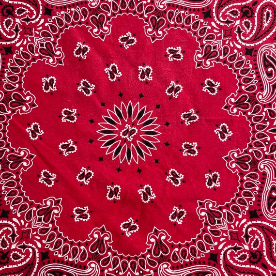 Vintage Red Paisley Print RN 15187 All Cotton Hav… - image 4