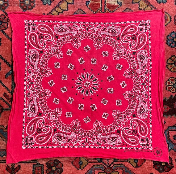 Vintage Red Paisley Print RN 15187 All Cotton Hav… - image 2