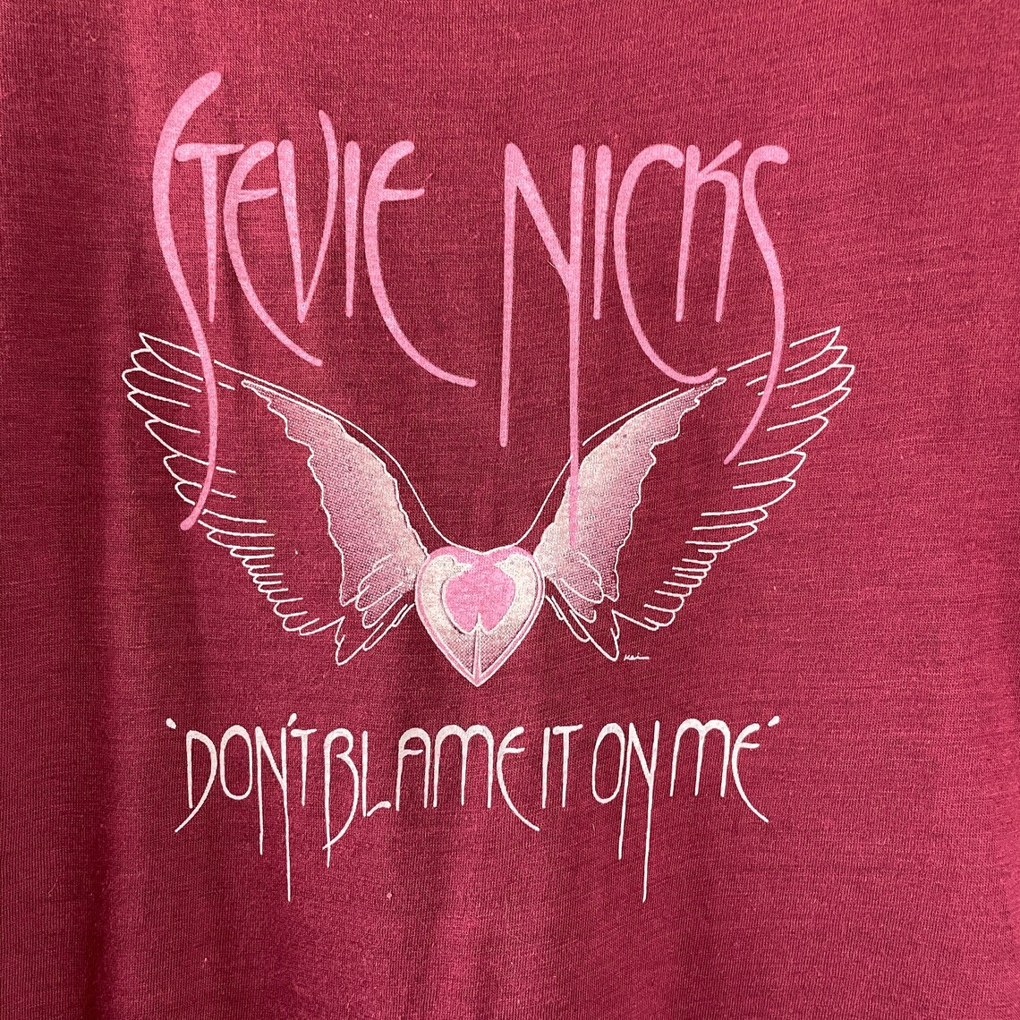 stevie nicks blame it on my wild heart