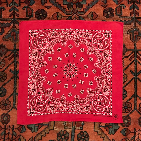Vintage 1970s Soft Red Paisley Hav A Hank All Cotton Gem
