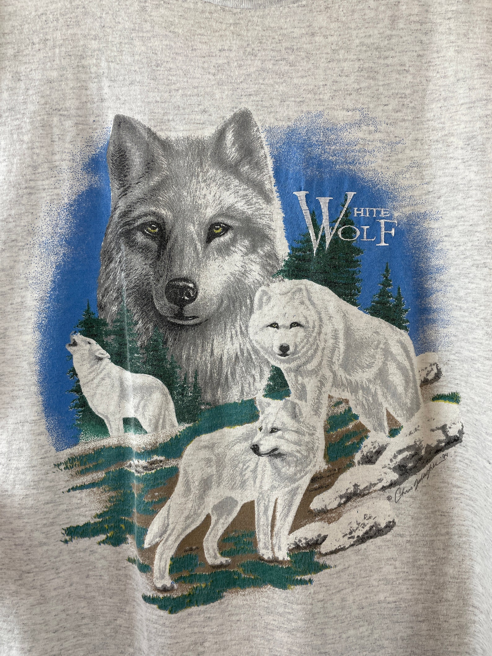 grey wolf express inc grey wolf express inc