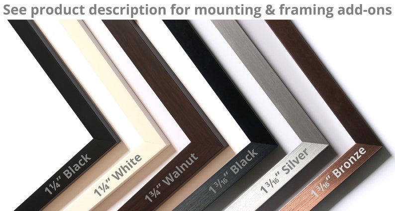 May include: A range of picture frame samples in colours like black, white, walnut, silver, and bronze. Each frame is labelled with its colour and width, such as "1 1/4" Black" and "1 3/16" Silver". The text "See product description for mounting & framing add-ons" is at the top.