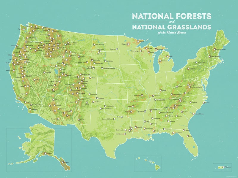 US National Forests Map 18x24 Poster Etsy
