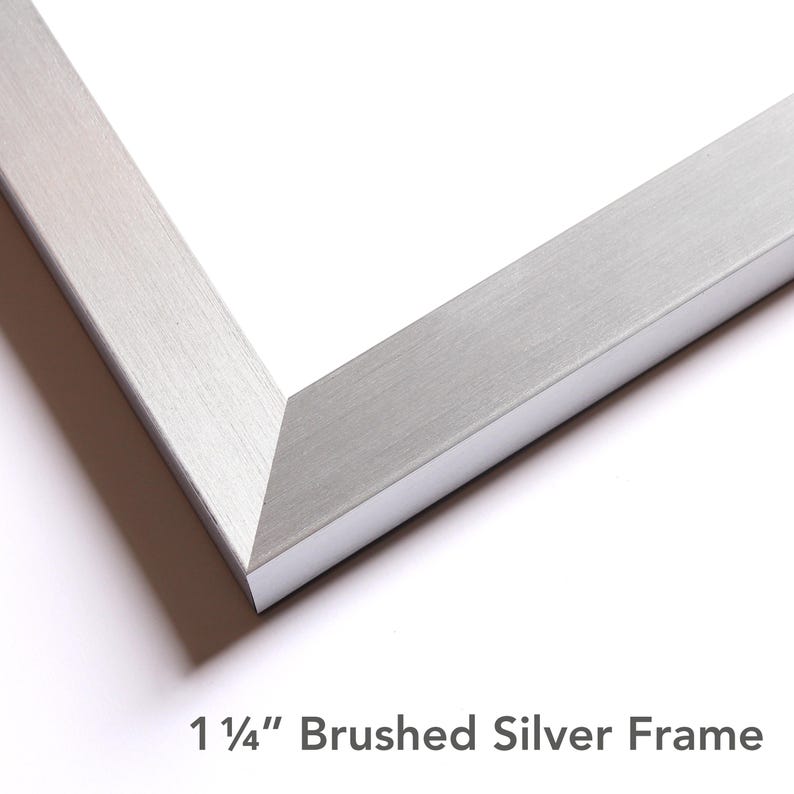 Puede incluir: Una secci&oacute;n de esquina de un marco de fotos rectangular con un acabado plateado cepillado. El marco presenta una uni&oacute;n a inglete en la esquina y tiene un ancho de 3,175 cm, como indica el texto 1 1/4" Brushed Silver Frame debajo.