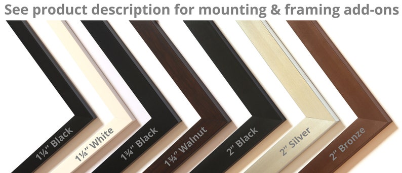 May include: A selection of picture frame samples in various colors and styles. The frames include black, white, walnut, silver, and bronze finishes. The text on the frames indicates the width of each frame.