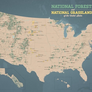 Póster de 18 x 24 del mapa de los bosques nacionales de EE. UU.