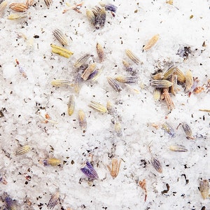 May include: Close-up of white sugar crystals with dried lavender flowers and buds. The lavender is a light purple color and the sugar is white.
