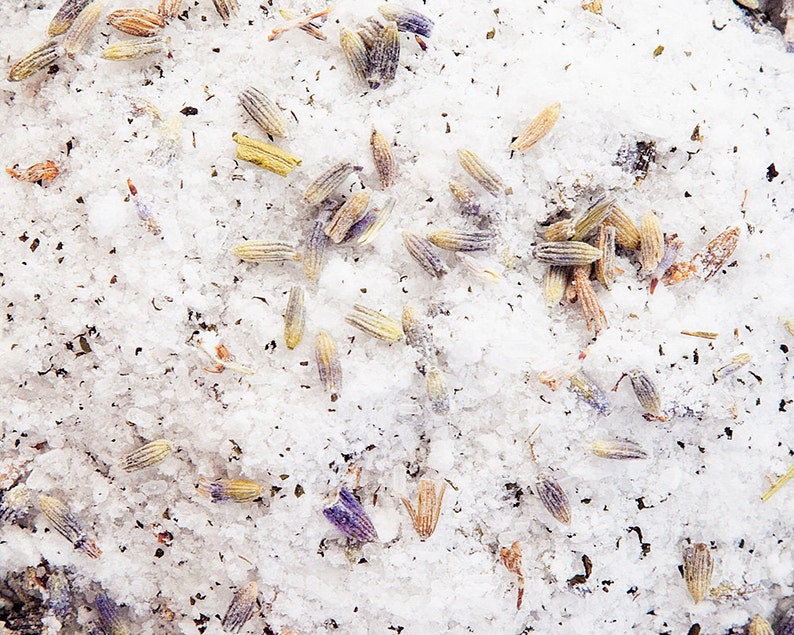 May include: Close-up of white sugar crystals with dried lavender flowers and buds. The lavender is a light purple color and the sugar is white.