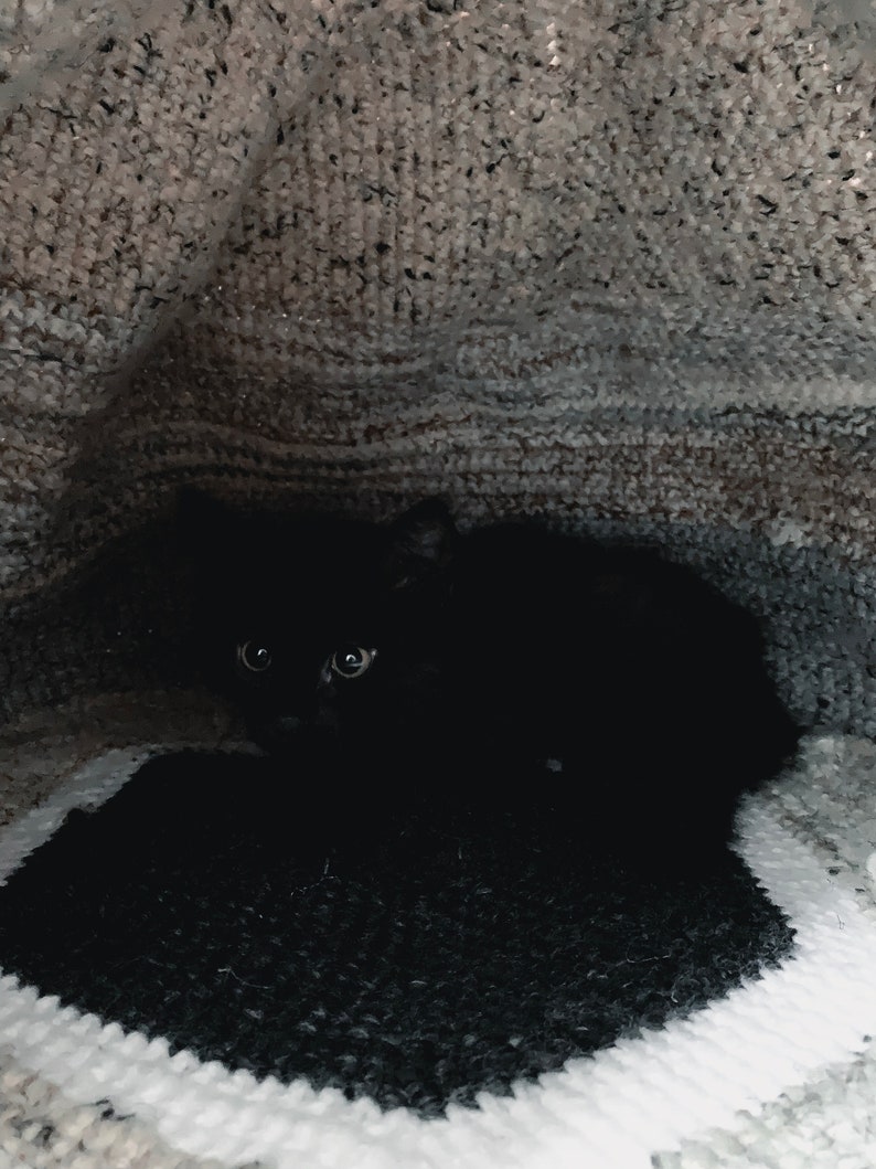 The Dome of Isolation Crochet Cat Bed Pattern Crochet Cat Cave Crochet Cat Home Crochet Pet Bed Pattern Crochet Pattern image 4