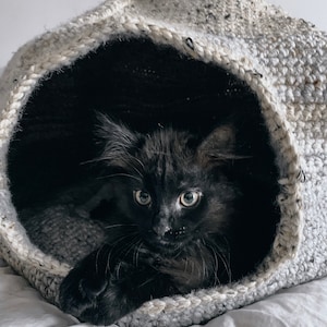 The Dome of Isolation Crochet Cat Bed Pattern Crochet Cat Cave Crochet Cat Home Crochet Pet Bed Pattern Crochet Pattern image 5