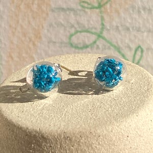 Lepidium Glass Orb Stud Earrings – Stainless Steel – Nature Inspired Unique Flower Jewelry