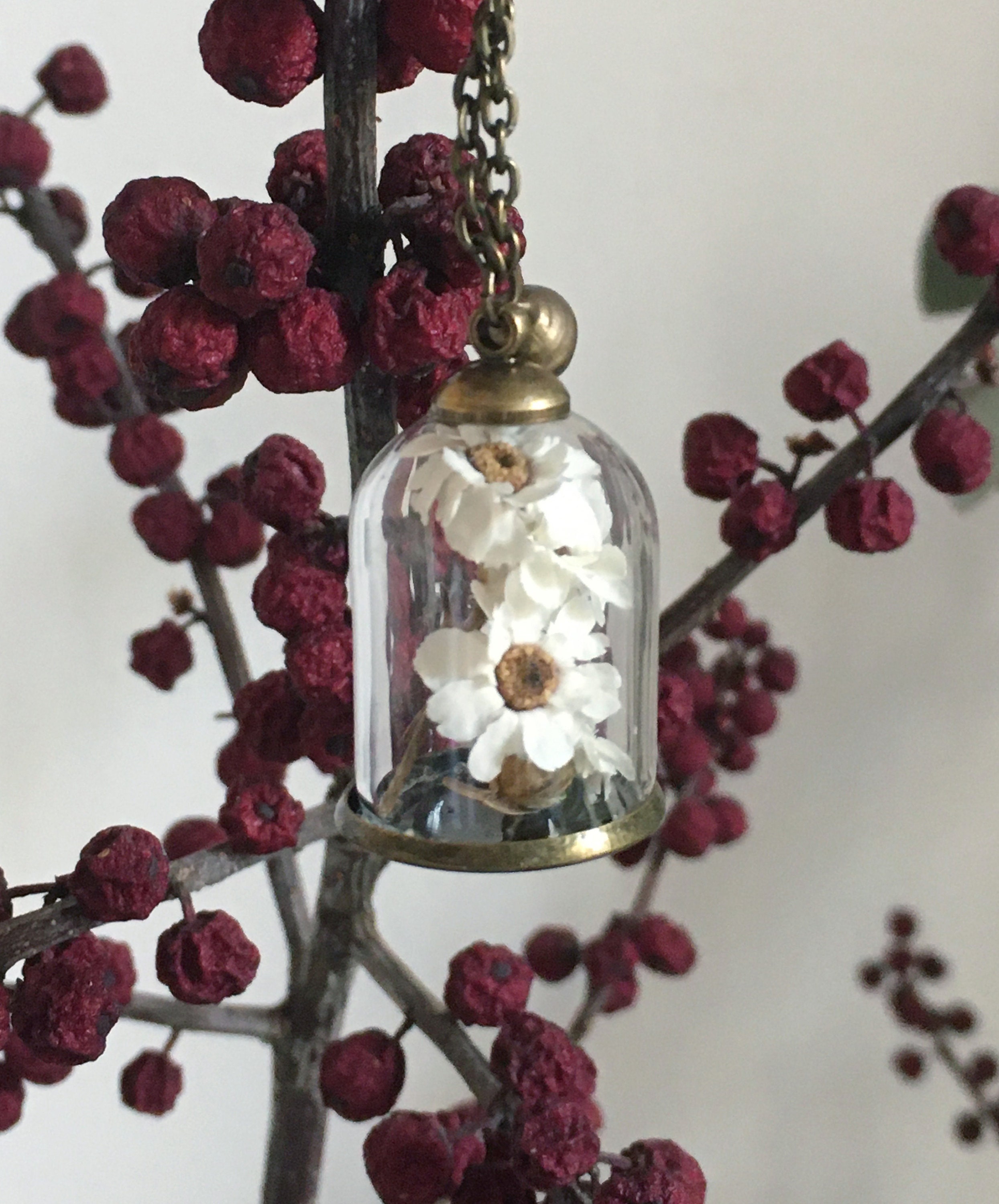 Craft Fai Da Te Fiori Secchi Decorativi DEZ - Composizione Naturale Per