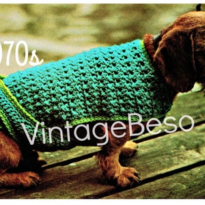 May include: A dachshund wearing a teal crochet dog sweater with lime green trim. The image has the text "1970s" and "VintageBeso.com". The dog is sitting on a wooden surface, with a blurred background.